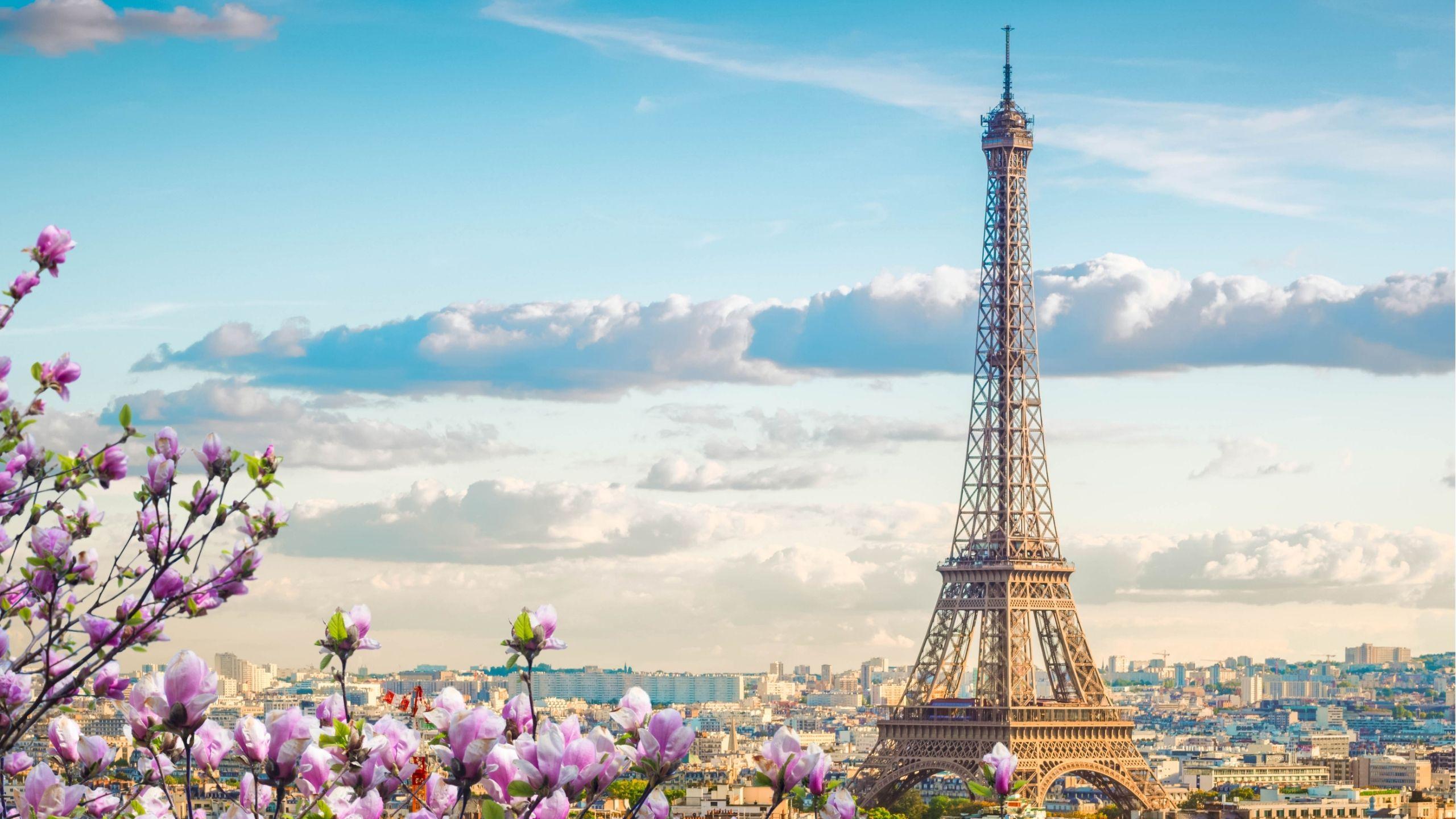 Eiffel Tour and Paris Cityscape