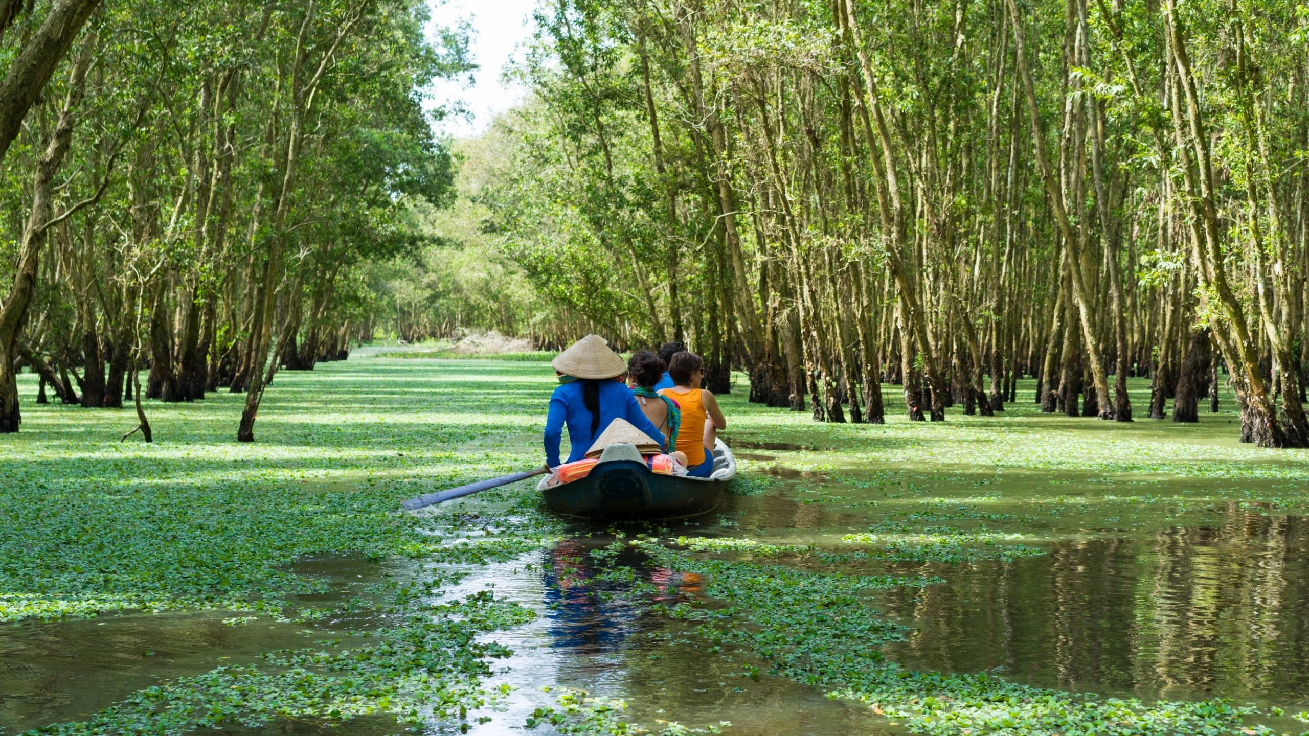 Tourism Rowing Boat in Mekong Delta