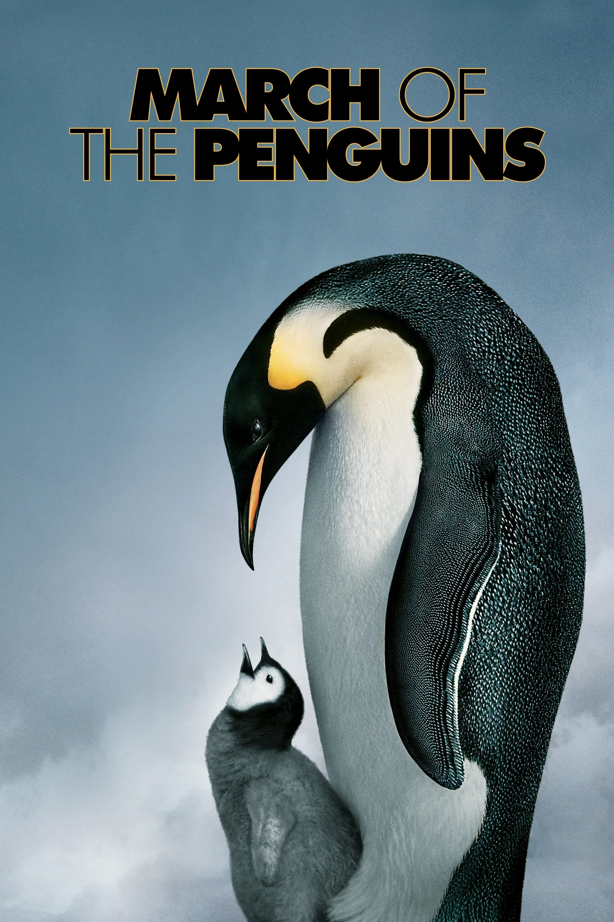 Poster: